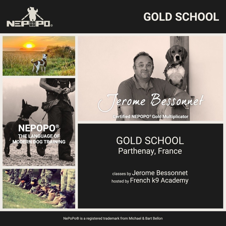NePoPo® Gold School — classes par Jérôme Bessonnet (Certified NePoPo® Gold Multiplicator), French K9 Academy, Parthenay