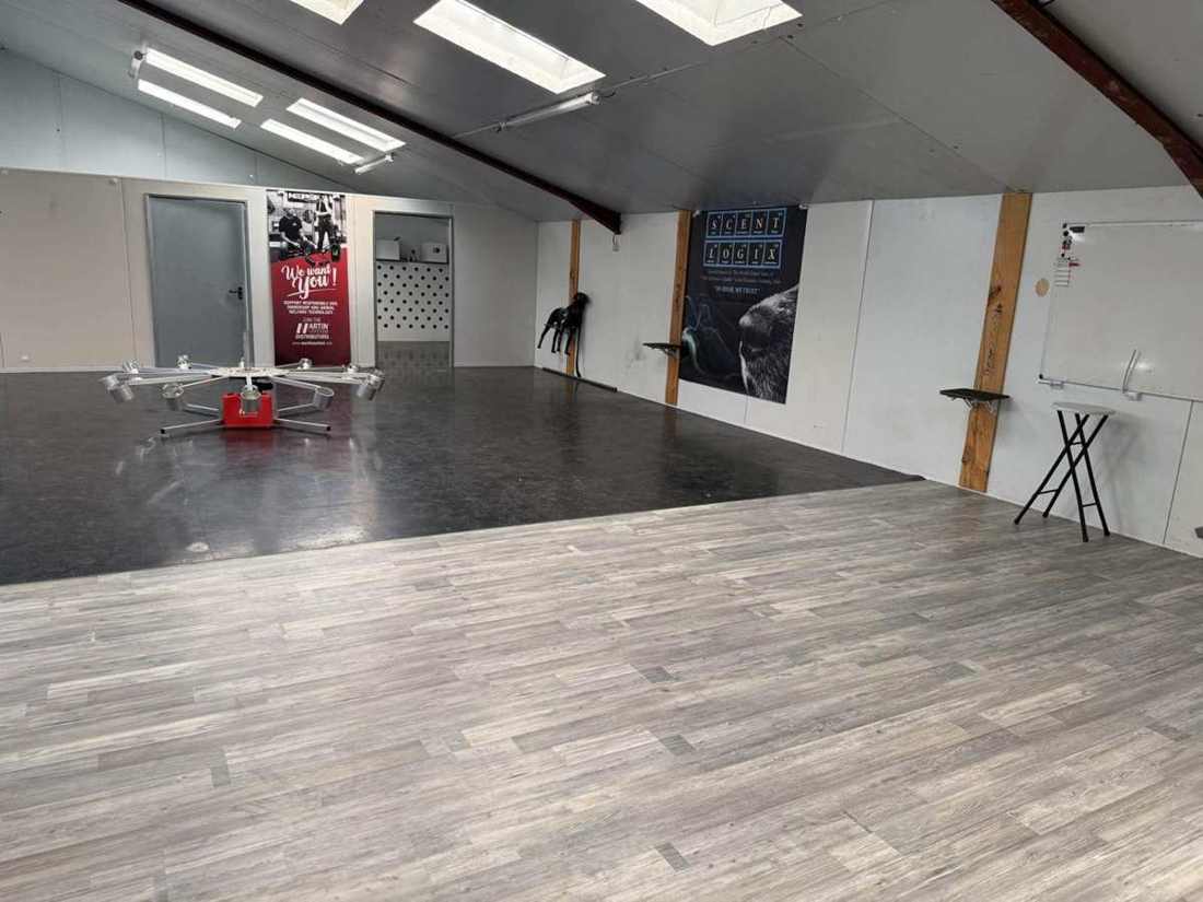 Notre salle d'olfaction, où débute le parcours de chaque chien